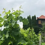 Nyaraló Kranach 5 - Wohnen Beim Wein *
