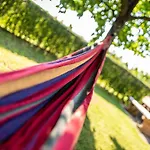 Kranach 5 - Wohnen Beim Wein