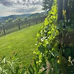 Kranach 5 - Wohnen Beim Wein *