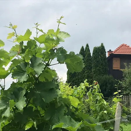 Nyaraló Kranach 5 - Wohnen Beim Wein *