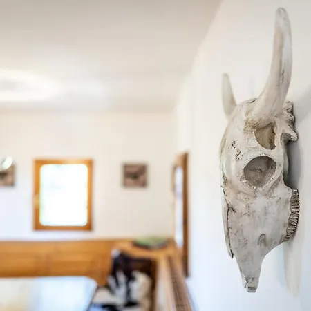 Kranach 5 - Wohnen Beim Wein Дом отдыха