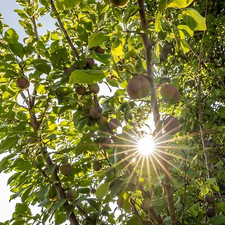 Kranach 5 - Wohnen Beim Wein Holiday home *