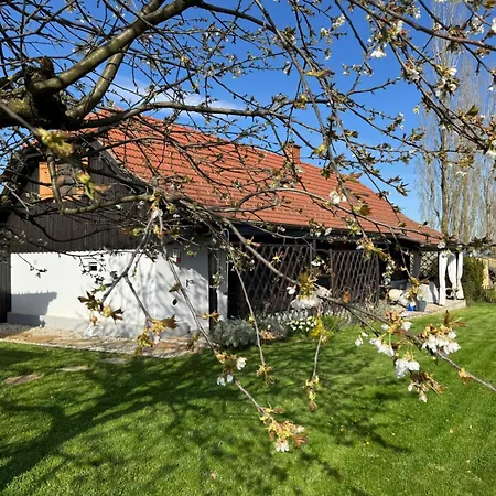 Holiday home Kranach 5 - Wohnen Beim Wein *