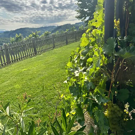 Kranach 5 - Wohnen Beim Wein *
