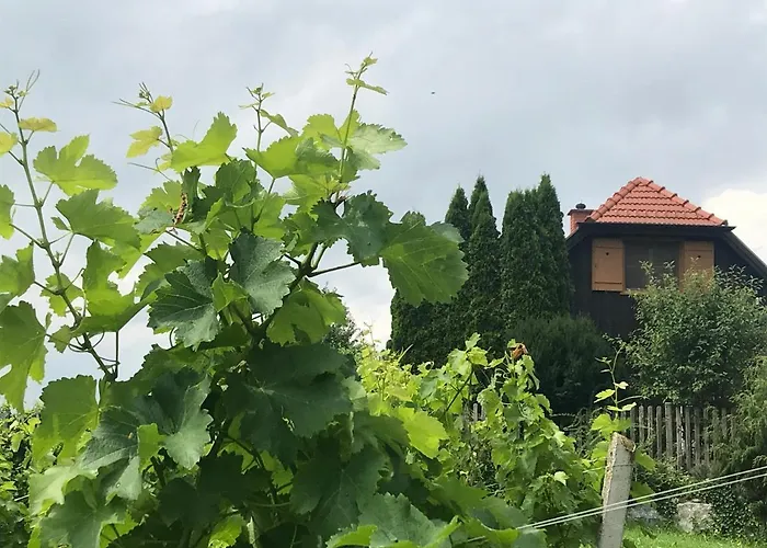 Holiday home Kranach 5 - Wohnen Beim Wein *