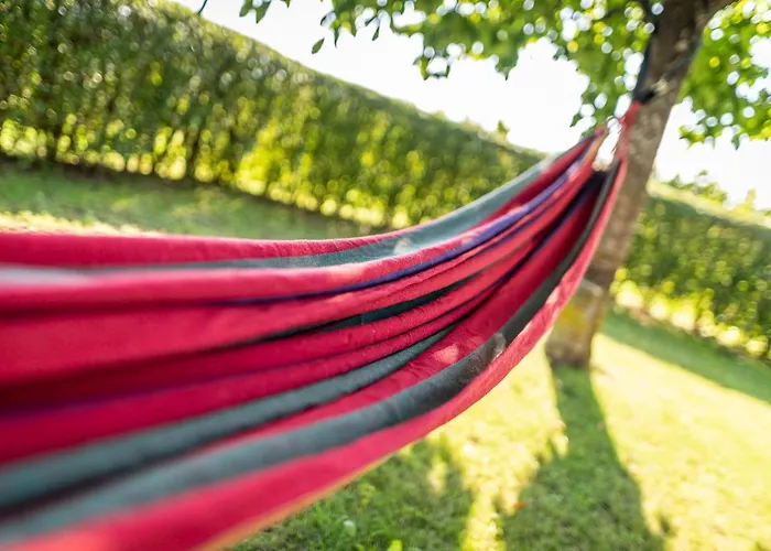 Kranach 5 - Wohnen Beim Wein Holiday home