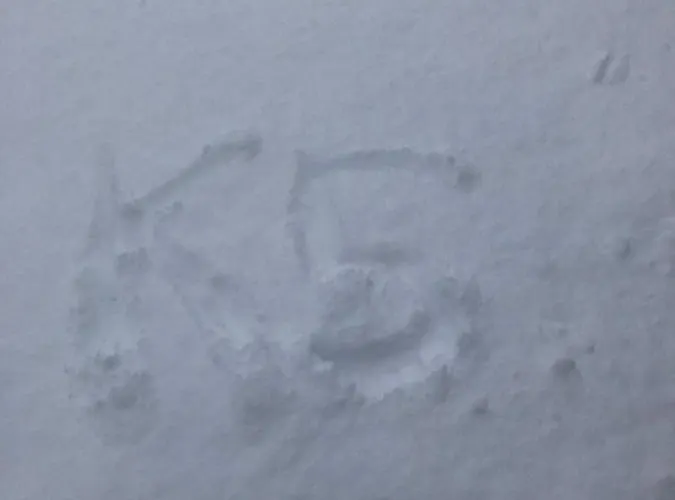 Holiday home Kranach 5 - Wohnen Beim Wein