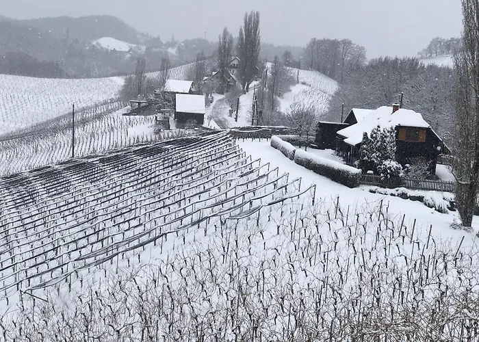 Holiday home Kranach 5 - Wohnen Beim Wein *